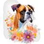 Boxer In Flowers Sticker