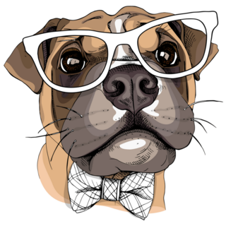 Boxer In Glasses Sticker