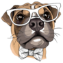Boxer In Glasses Sticker
