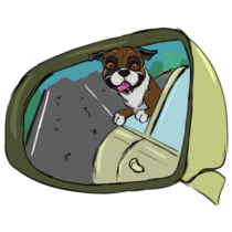 Boxer In Mirror Sticker