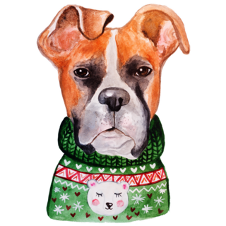 Boxer In Sweater Sticker