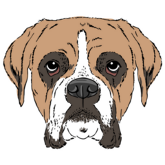 Boxer Ink Realistic Sticker