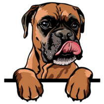 Boxer Peeking Over Sticker