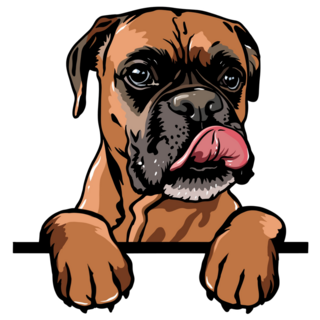 Boxer Peeking Over Sticker