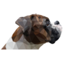 Boxer Polygonal Sticker