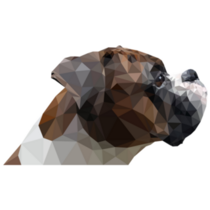 Boxer Polygonal Sticker