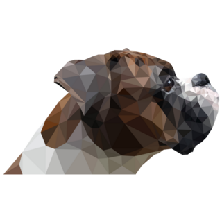Boxer Polygonal Sticker