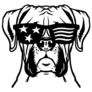 Boxer USA Glasses Sticker