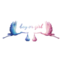 Boy Or Girl Watercolor Stork Sticker