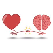 Brain And Heart Interactions Sticker