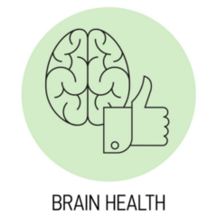 Brain Health Sticker