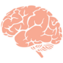Brain Icon Pink Sticker