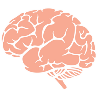 Brain Icon Pink Sticker