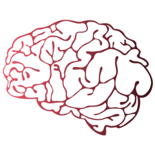 Brain Illustration Gradient Sticker