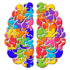 Brain Mind Colorful Jigsaw Autism Puzzle Icon Sticker