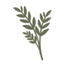 Branch or Twig of a Plant Transfer Sticker