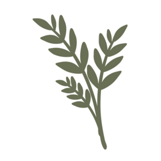 Branch or Twig of a Plant Transfer Sticker