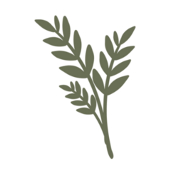 Branch or Twig of a Plant Transfer Sticker