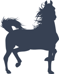 Brave Wild Horse Sticker