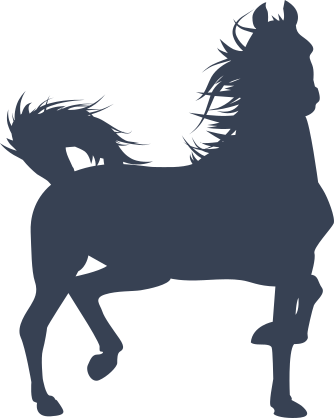 Brave Wild Horse Sticker