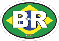 Brazil Br Flag Oval Sticker