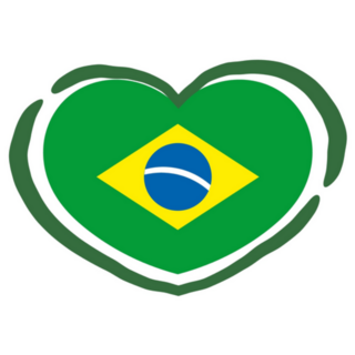 Brazilian Heart Doodle Heart Sticker