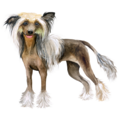 Breed Portrait Sticker