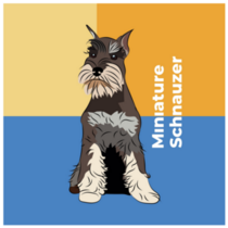 Breed Schnauzer Sticker