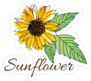 Bright And Blurred Sunflower Sticker