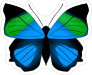Bright Blue and Green Butterfly Sticker