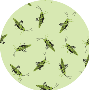 Bright Colored Seamless Pattern With Cute Grasshopper Sticker 