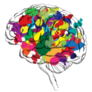 Bright Colorful Brain Concept Sticker
