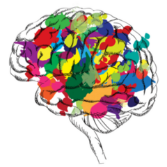Bright Colorful Brain Concept Sticker
