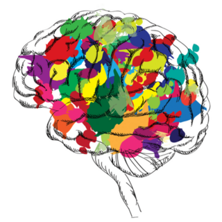 Bright Colorful Brain Concept Sticker
