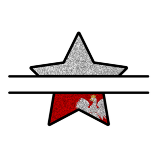 Bright Glitter Star National Flag Poland Sticker