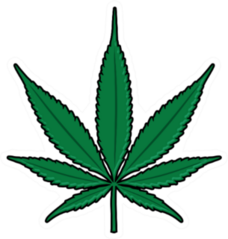 Bright Green Cartoon Marijuana Cannabis Leaf Sticker