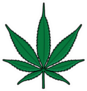 Bright Green Cartoon Marijuana Cannabis Leaf Sticker