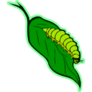 Bright Green Caterpillar On The Leaf Sticker