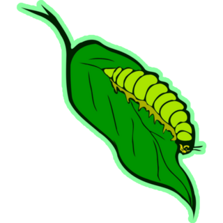 Bright Green Caterpillar On The Leaf Sticker