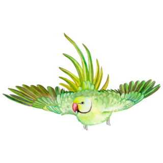 Bright Green Parakeet Sticker