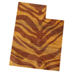 Bright Tiger Print Utah Sticker