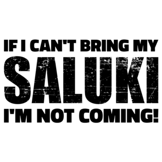 Bring My Saluki Sticker