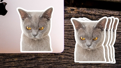 British Shorthair Cat Photo Sticker