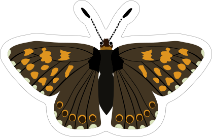 Brown and Yellow Spotted Butterfly Sticker