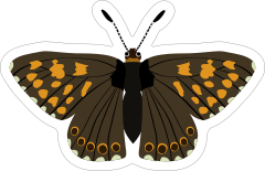 Brown and Yellow Spotted Butterfly Sticker