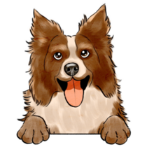Brown Border Collie Sticker