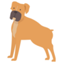 Brown Boxer Sticker