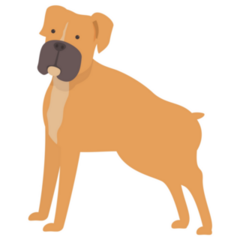 Brown Boxer Sticker