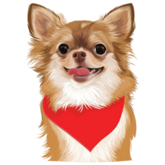 Brown Chihuahua Sticker