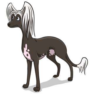 Brown Chinese Crested Sticker